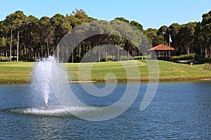 Fountain in the artificial pond.