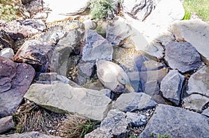 Fountain as garden decor from stones