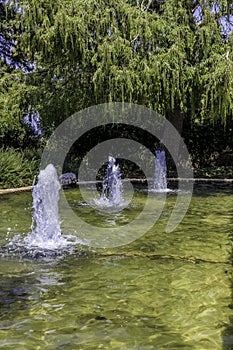 Fountain basin in park vertical