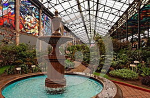 Fountain and Botanical Gardens Toluca