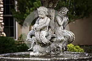 Fountain Cherubs photo