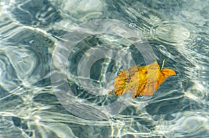 The fountain in the city park Pecs, Hungary, in the fall