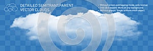 Fountain cloud mesh. Transparent steam vector flow
