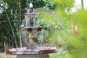 Fountain  Coffee shop in a quiet forest