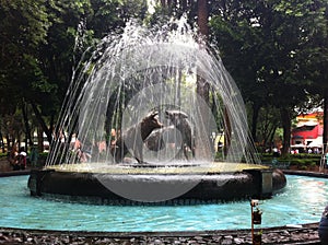 Fountain of the Coyoacan