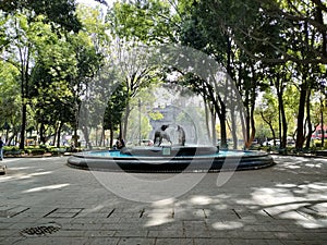 The fountain of the coyotes. The Jardin Centenario. Coyoacan. Mexico city.