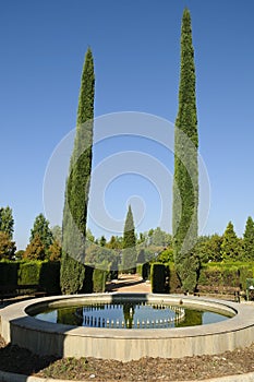 Fountain and cypress trees in Park