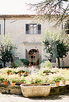 Fountain decorated with flowerpots in front of an old villa. Florence, Italy
