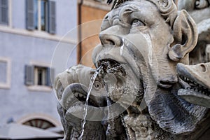 Fountain detail Rome photo
