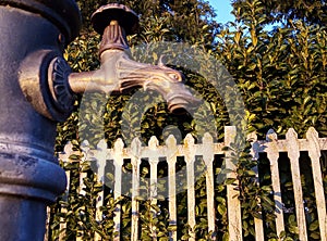 Fountain with Dragon