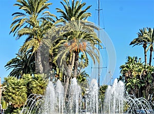 The fountain of the esplanade of Spain photo