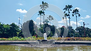 fountain in the fish pond in the garden