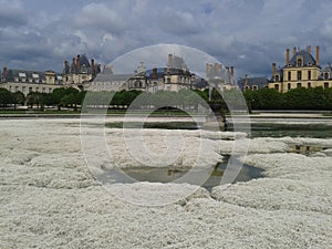 The fountain and flowerbeds of the French garden, the linden alley and the Fontainebleau Palace above everything. Fontainebleau, F