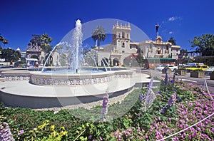 Fountain and flowers at Balboa Park Gardens, San Diego, California