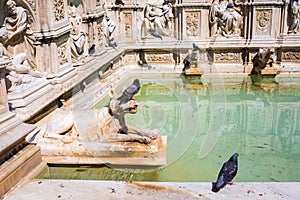 Fountain Fonte Gaia in Siena, Italy