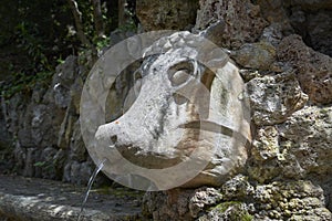 Fountain in the form of a stone head of a cow, elements of work by Antonio Gaudi