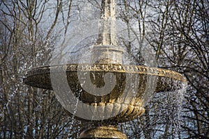 Fountain 19