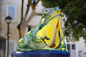 Fountain Frog