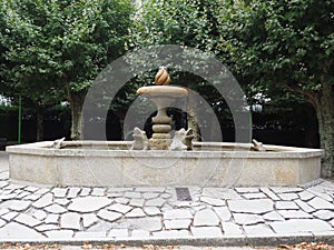 fountain of the frogs in the romanesque city of lugo, galicia, spain, europe