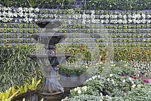 Fountain in the garden