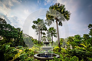 Fountain garden and palm trees at Fort Santiago, in Intramuros,