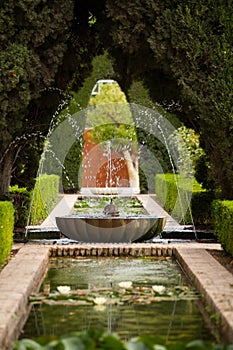 A fountain in the Generalife of the Alhambra photo