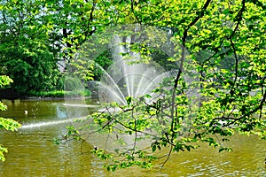 A fountain gushing water over a lake against a background of green trees.