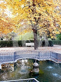 Fountain and horse chestnut in autumn park, selective focus