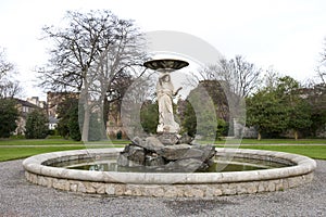 Fountain in Iveagh Gardens, Dublin