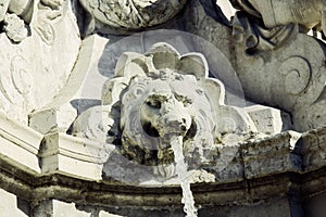 Fountain. A jet of water spurts from the lion's mouth