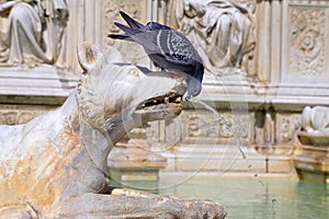 Fountain of joy - a medieval marble fountain in Siena. Panel Fonte Gaia, Piazza del Campo, Siena, Tuscany