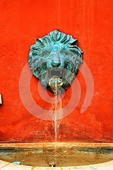 Fountain from a lion head.
