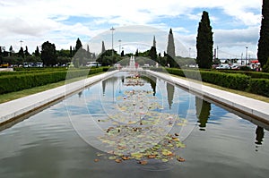 Fountain with loto flowers photo