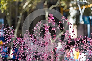 fountain with malbec water originating in the province of Mendoza Argentina