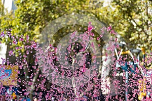 fountain with malbec water originating in the province of Mendoza Argentina