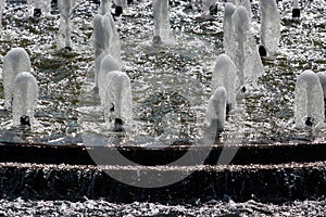 A fountain with many sprinklers in a park