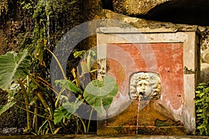 Fountain, Minerva `s garden. Salerno. Italy photo