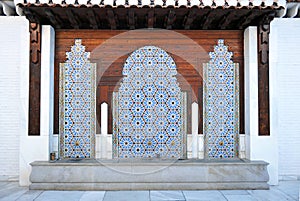 Fountain of the Mosque of Granada, Spain
