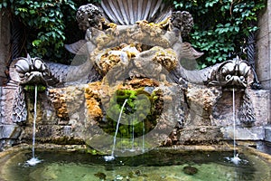 Fountain and moss with pond