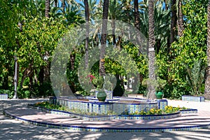 Fountain in the Municipal Park of Elche, province of Alicante, Valencian Community. Spain. Europe.