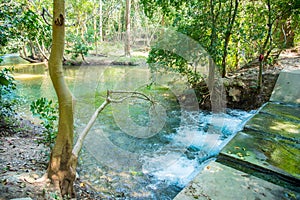 The fountain,Natural wells in Pak Chong is a tourist attraction