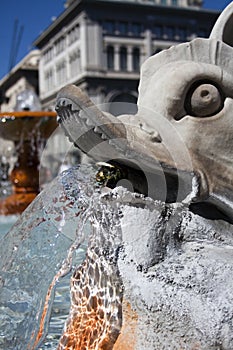 Fountain near Palazzo Montecitorio. photo