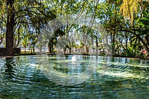 Fountain Oasis the Paseo del Parque in Malaga, Spain with palm tree jungle