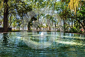 Fountain Oasis the Paseo del Parque in Malaga, Spain with palm tree jungle photo