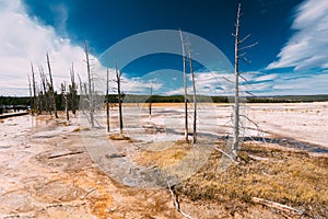 Fountain Paint Pot trail in Yellowstone National Park, Wyoming