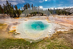 Fountain Paint Pots at Fountain Paint Pot trail in Yellowstone National Park, Wyoming