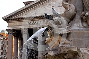 Fountain and Pantheon - Rome