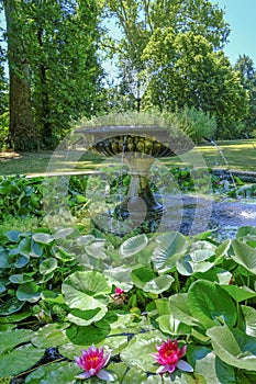 Fountain in the park with pond covered with waterlilies and leaves across green trees. Magnani Rocca, Parma, Italy photo