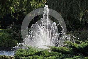 Fountain in a park