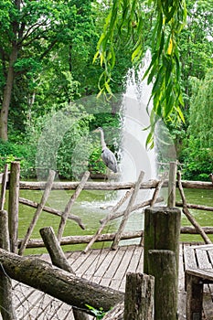 Fountain in the park Volkspark Friedrichshain